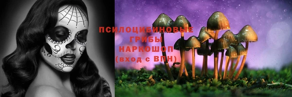 ECSTASY Верхний Тагил